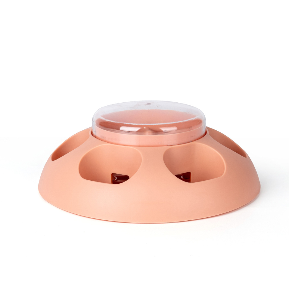 Dispositif de fuite de nourriture pour animaux de compagnie, jouet pour chien, Puzzle interactif, formation, alimentation lente, bol de nourriture