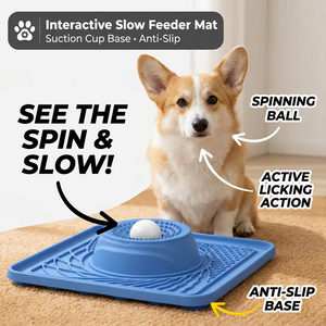 環境に優しいシリコン製屋内スローフィーダーなめるボウルとローリングボール付き猫と犬用スローペットの食事簡単お手入れ